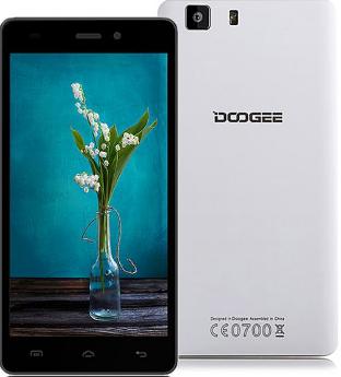 Ремонт Doogee X5 kyiv_city